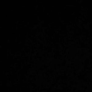 Meet your Posher, Masooma